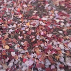 Meet your Posher, Gianna